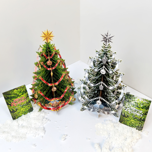 [MỚI 2026] Cây Thông Noel 3D Xếp Gọn - Quà Tặng Trang Trí Giáng Sinh Tiện Lợi & Độc Đáo - TAYTA