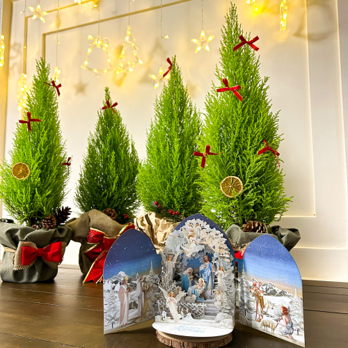 Thiệp Giáng Sinh Christmas Snowflakes Quà Tặng Noel - TAYTA