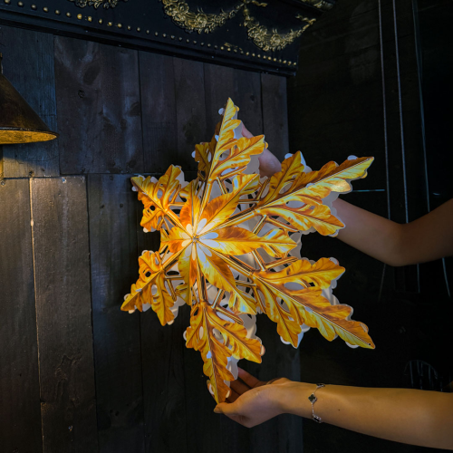 [51CM] NS001 - Lồng Đèn Ngôi Sao Cách Điệu Trang Trí Giáng Sinh - TAYTA