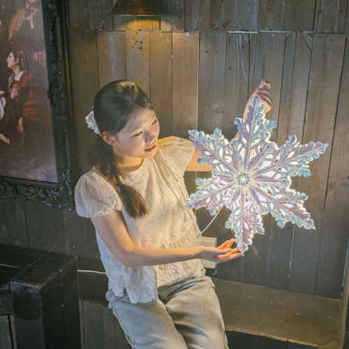 [51CM] NS002 - Lồng Đèn Ngôi Sao Cách Điệu Trang Trí Giáng Sinh - TAYTA