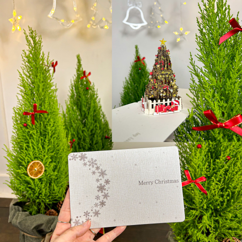 Thiệp 3D Christmas Trees Trang Trí Giáng Sinh Dễ Thương - TAYTA